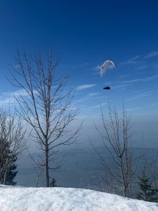 מדריך מעשי לחלוקת פנסיה בגירושין